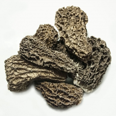 22-morilles-jumbo-jb-morilles