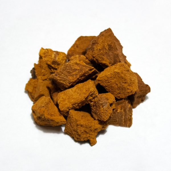 52-chaga-jb-morilles