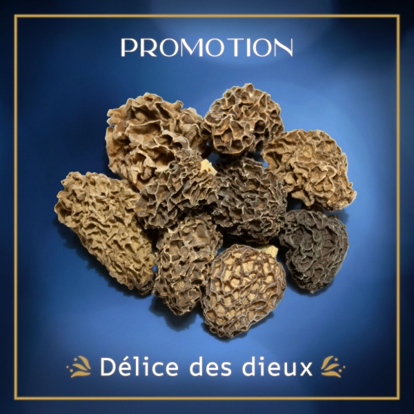 morilles-delice-dieux