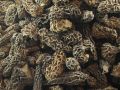 JB Morilles morilles fumees himalaya 1