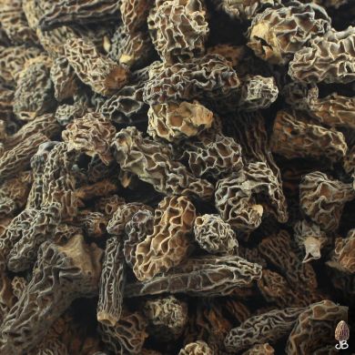 JB Morilles morilles fumees himalaya 1