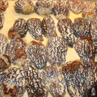 JB Morilles morilles jumbo 3