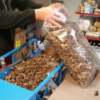 JB Morilles morilles machine 1