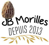 logo jb morilles noir